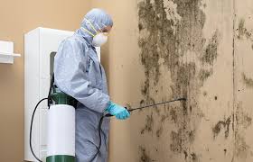 Best Water Damage & Mold Remediation  in Lebanon, TN